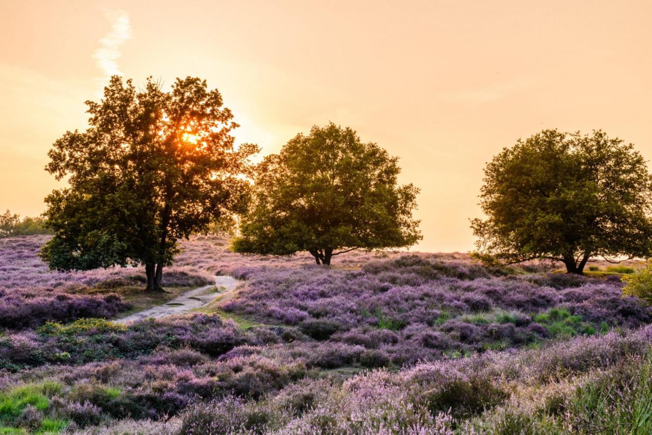Vakantie Bij Meeussen - Schuttersoord Mook Екстер'єр фото